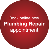 Plumbing Repair booking