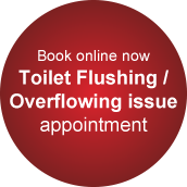 Toilet Flushing appointment
